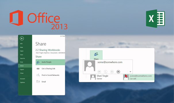Excel 2013 Share your work