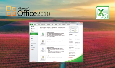 Excel 2010 Connect, share, and accomplish goals