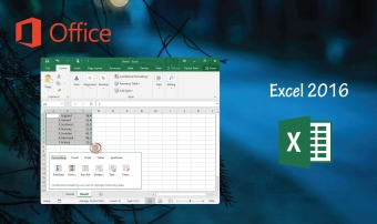 Office 2016 Standard Excel Standard 2016