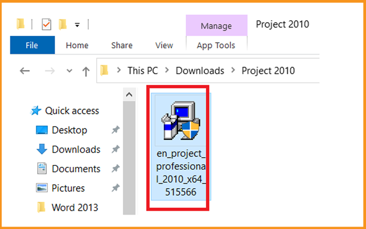 Project 2010 Project 2010