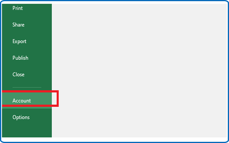 Excel-2021 Blank workbook