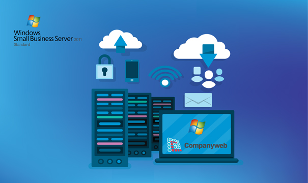 Automatic management of domain names