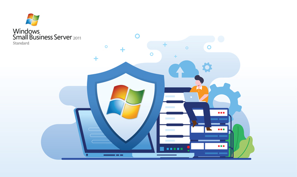 Remote access to the web