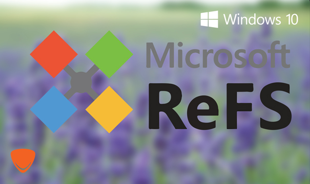 Windows 10 Pro for Workstation Developed processor performance