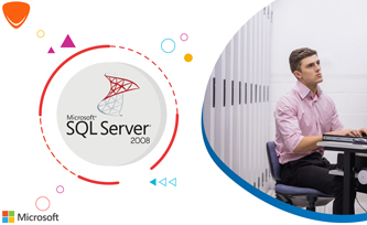 SQL Server 2008 R2 Standard SQL Server 2008 R2 Standard