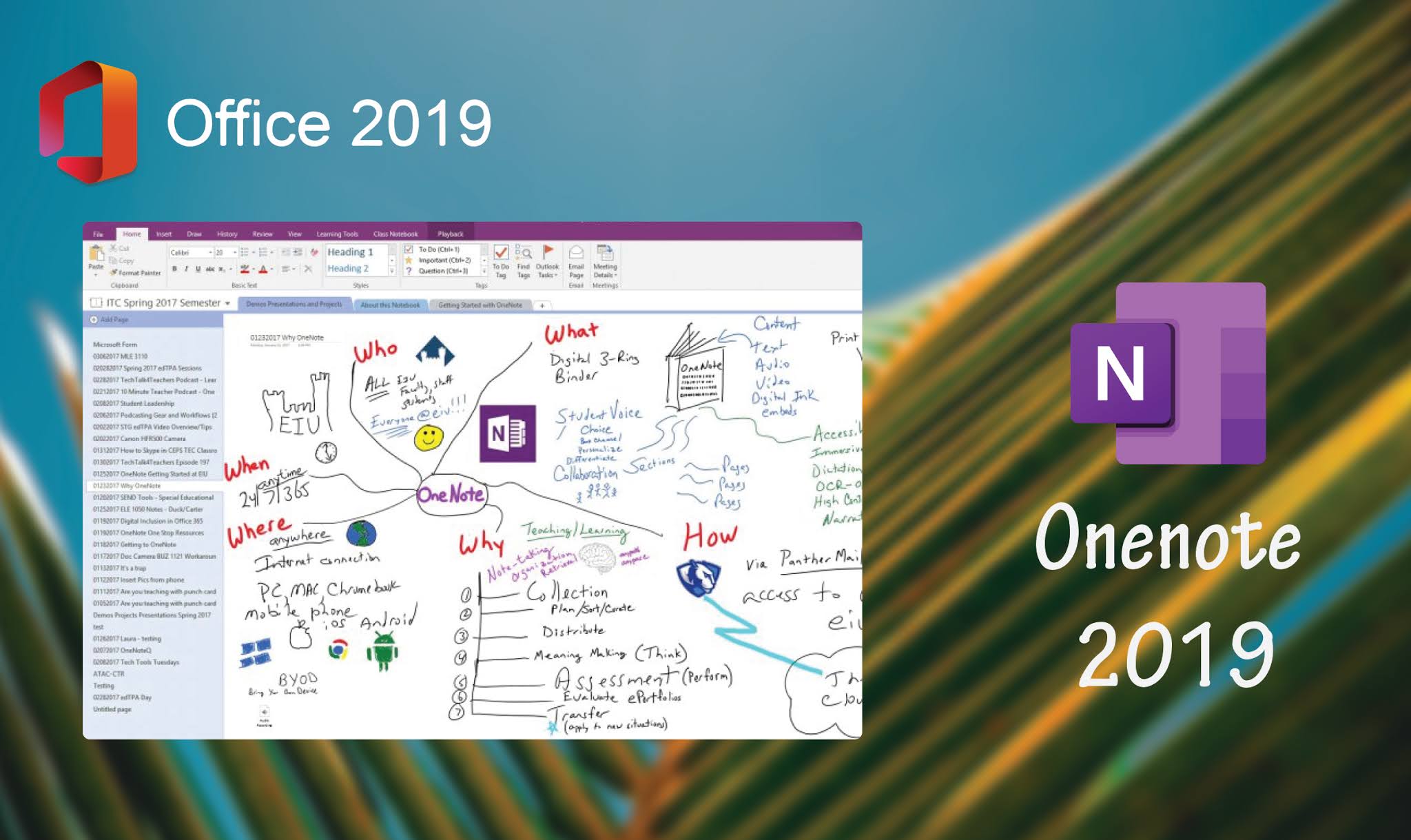 Office 2019 Standard OneNote 2019