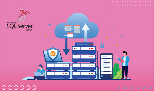 SQL Server 2008 R2 Standard Power Pivot