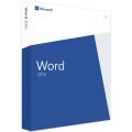 Word 2010